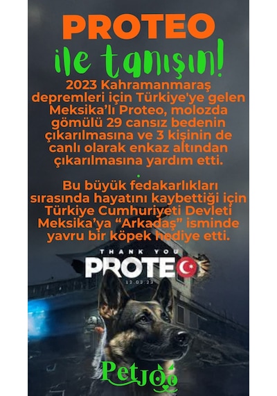 Petjoo 24.Proteo Yeşil-Turuncu Qr'lı Köpek Künyesi