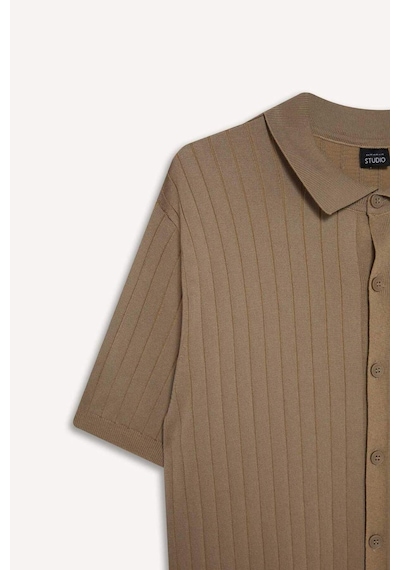 DeFacto Standart Fit Polo Yaka Triko Kısa Kollu Tişört E4603AX25SMBG129