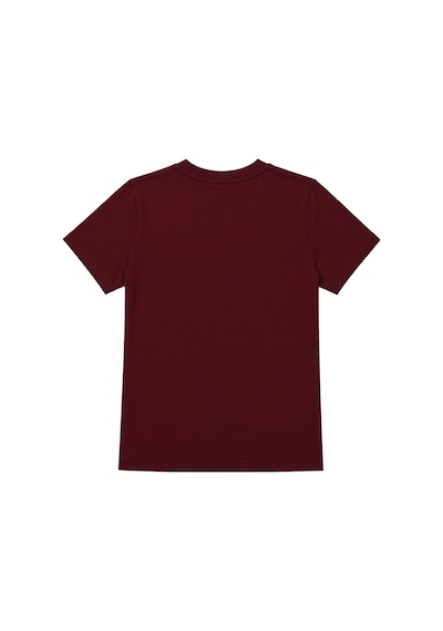 Mixray 2100 Kadın Slim Fit Bisiklet Yaka Soft Basic T-shirt Bordo