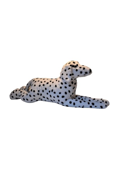 Dalmaçyalı Köpek 85 Cm