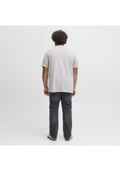 Jack & Jones Büyük Beden Slim Fit Düsük Bel Jean - Glenn - 12288381 Black Denim