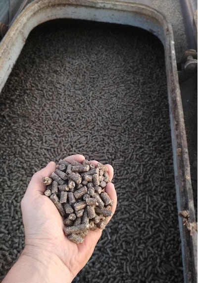 Kuru Pancar Küspesi Pelet Konya Şeker Melaslı Hayvan Yemi 50 Kg