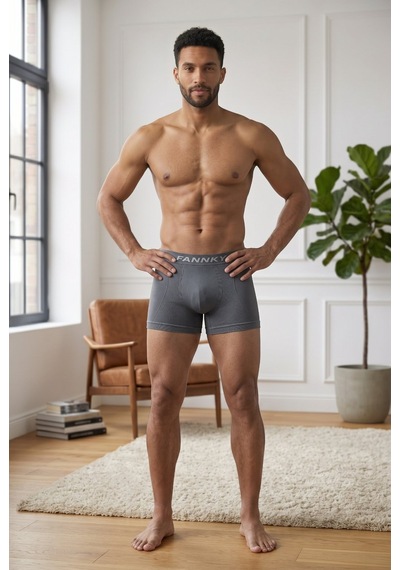 Fit Women Erkek Rahat Esnek Seamless 3 Lü Gri Boxer