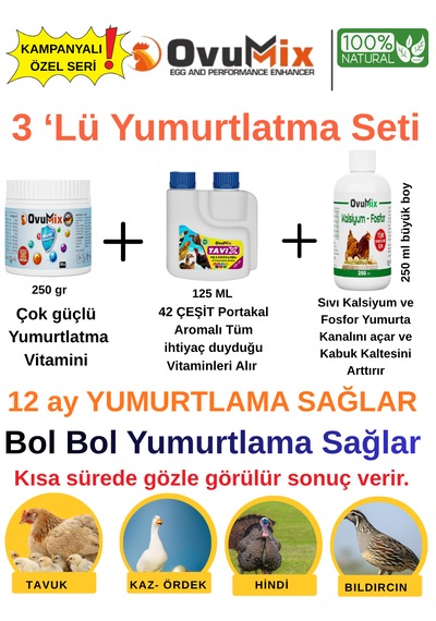 Yüksek Yumurta Verimi İçin 3'lü Kombinasyon Seti - Tavuk, Kaz, Ördek, Hindi, Bıldırcın Yumurtlaxxxx