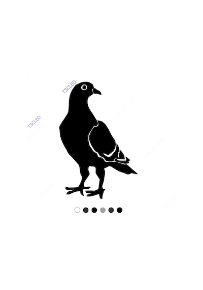 Paçalı Güvercin Sticker Yapıştırması 17Cm