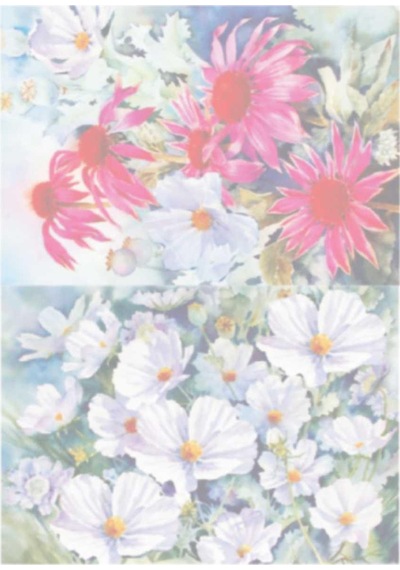 Artebella Büyük Kolay Transfer 1407k Koyu Zemin 23x34cm