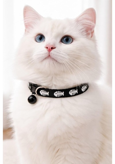 Kedi Boyun Tasması Zilli Ve Ayarlanabilir Siyah