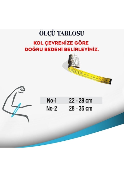 Code 210 Humerus Breysi No 1