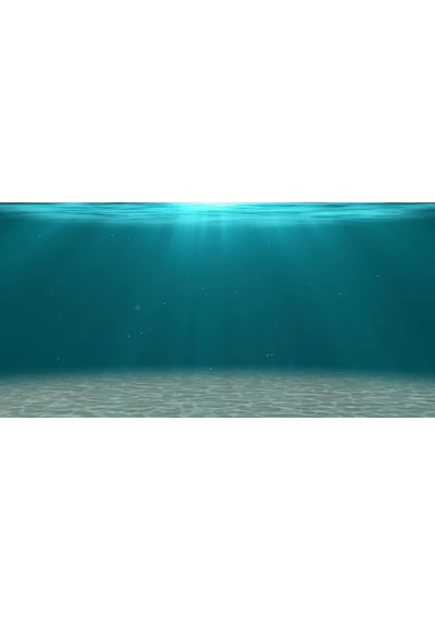 Kanki Pet KP1055206 Akvaryum Arka Fon Yapıştırma 105 CM