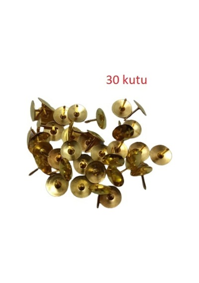 30 Kutu Sarı Raptiye 40 Adetli 30 Kutu