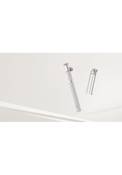 Lıght Gold Portable Stand