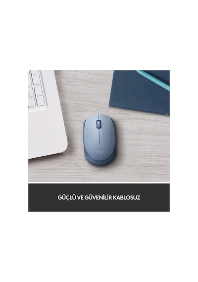 Logıtech 910-006866, M171 Bluegrey, Usb Nano 2,4g Kablosuz, 1000dpi, Optik, 3 Tuşlu, 12ay Pil Ömrü, Mouse 001