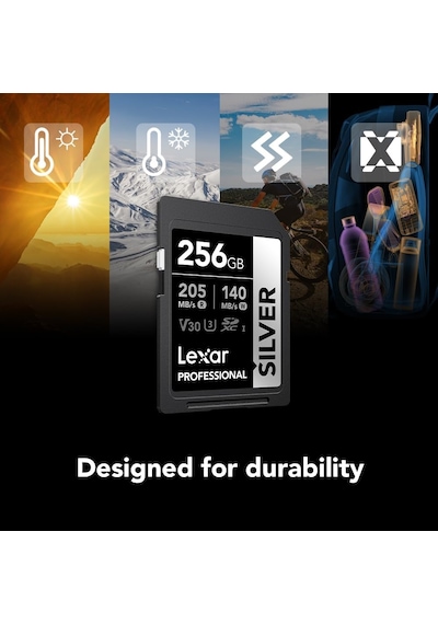 Lexar 256 Gb Profesyonel Gümüş Sdxc Hafıza Kartı, Uhs-ı, C10, U3,