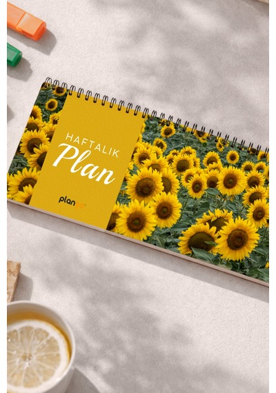 Tarihsiz Spiralli Haftalık Masaüstü Planlayıcı - Ayçiçeği - 10x30 Cm Plango Turkuaz