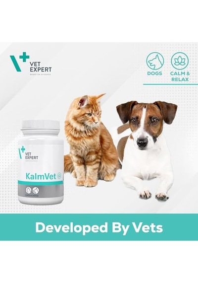 Plus French Bulldog Yetişkin Köpek Sı 8 Kg 100 G