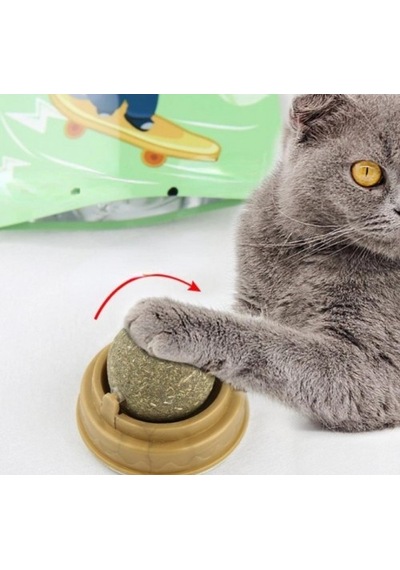 River World Kediler İçin Oyun Topu Kedi Nanesi Oyuncak