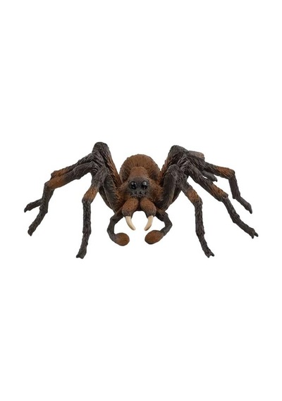 Schleich Harry Potter Büyücülük Dünyası Mini Figür Ararog 13987