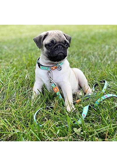 Max & Molly Urban Pets Original Serisi Akıllı Künyeli Köpek Boyun Tasması L, Ördek
