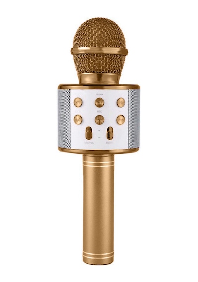 Ws 858 Karaoke Mikrofon Bluetooth Hoparlör Altın