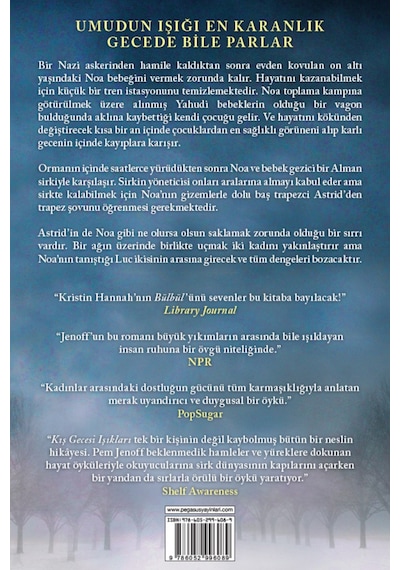 Kış Gecesi Işıkları
