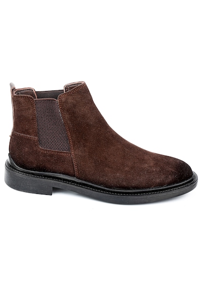 Dexter Dx396105-33 Renkli Çok Renkli