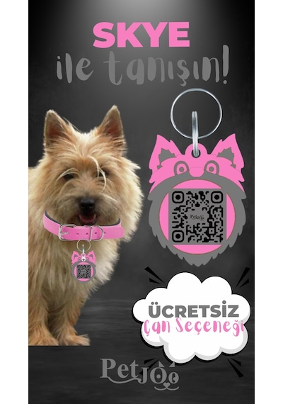 Petjoo 6.Skye Gri-Pembe Qr'lı Köpek Künyesi