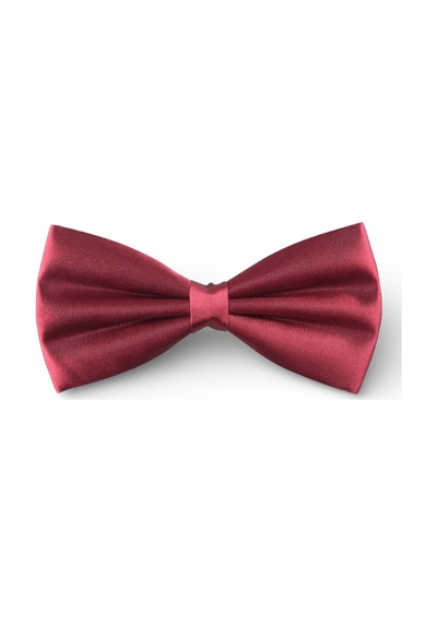 Dwoy Erkek Bordo Saten Papyon-713