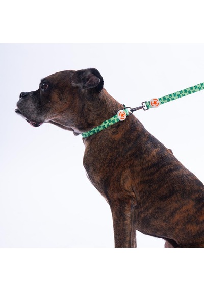 Frog Kurbağa Desenli Köpek Boyun Tasması Ayarlanabilir Köpek Tasması S Yeşil