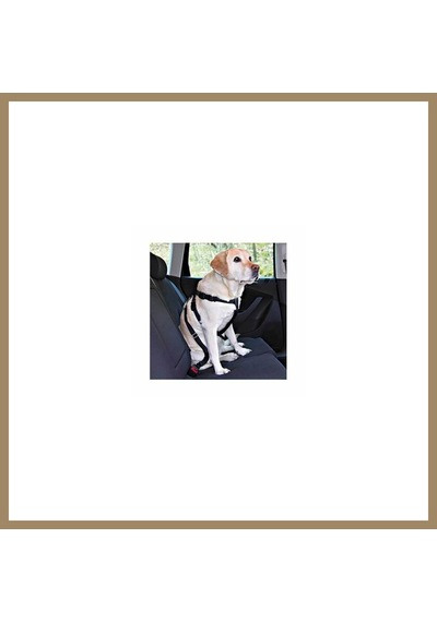 Bezos Köpek Emniyet Kemeri Medium 50-70 Cm 22