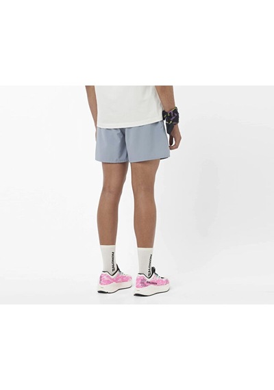 Salomon Shakeout Core 5" Erkek Koşu Şortu Lc2778000 Gri