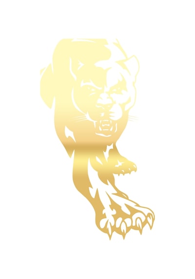 Panter Araba Sticker 17x17 Cm Gold