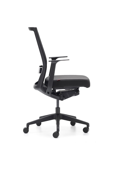 Rapido Rapido Ergonomik Çalışma Koltuğu A-One