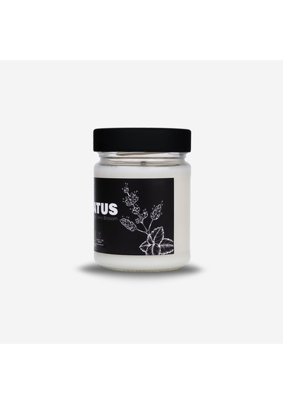 Paçuli & Vanilya Kokulu Doğal Soya Mum – Cereus Nocte Serisi El Yapımı Cam Kavanoz 210 gr