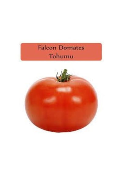 100 Adet Tohum Nadir Organik Kırmızı Bahçe Falkon Domates Saksı T