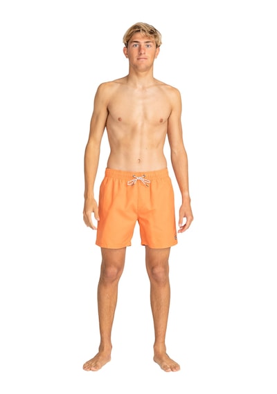 Bıllabong Billabong All Day Lb Erkek Yeşil Volley Short 763 Çok Renkli