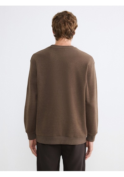 Lcw Vision Kahverengi Regular Fit Bisiklet Yaka Erkek Triko Sweatshirt