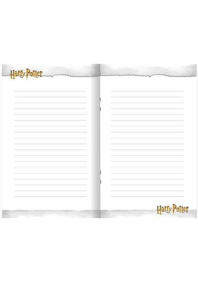 Keskin 310210-07 14x20 80 Yp. Kilitli Hatıra Defteri Harry Potter