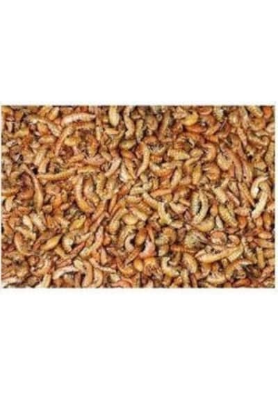 Gammarus Kurutulmuş Karides Balık Kaplumbağa Yemi 250 G