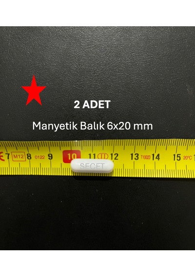 Manyetik Balık 6x20 Mm - Boy:20 Mm - Çap:6 Mm 2 Adet/pk