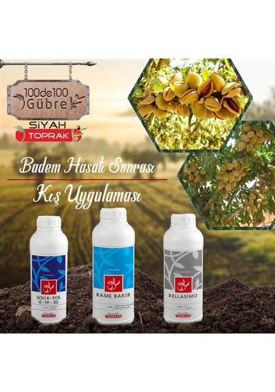 Badem Ağaçlarında Hasat Sonrası Kış Uygulaması Seti