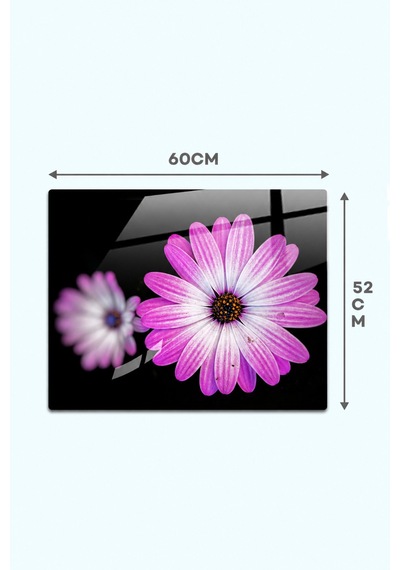 Gökçeoğlu Cam Ocak Arkası Koruyucu Cam Koruyucu Tezgah Ankastre Arkası Mor Papatya 52cm X 60cm Çok Renkli