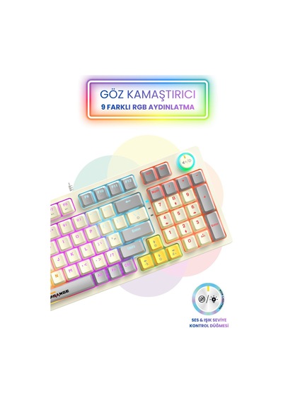 Mekanik Hisli Gaming Blue Switch Türkçe Q 9 Farklı Rgb Işıklı Beyaz Oyuncu Klavyesi