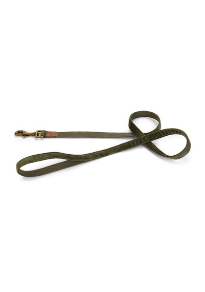 Hnrlıshp Beeztees Dbl Köpek Gezdirme Kayışı, Velura, Yeşil, 120cm, 20mm Çok Renkli