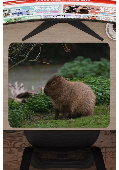 Capybara Kaymaz Dikişli Kauçuk Oyuncu Mousepad V5 - 48x40 Xl Gaming Mouse Pad Fare Altlığı