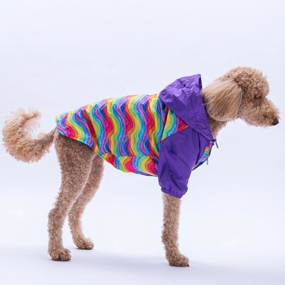 Rio Rainbow Mor Gökkuşağı Desenli Büyük Irk Köpek Montu Köpek Yağmurluğu Köpek Kıyafeti Köpek Elbisesi
