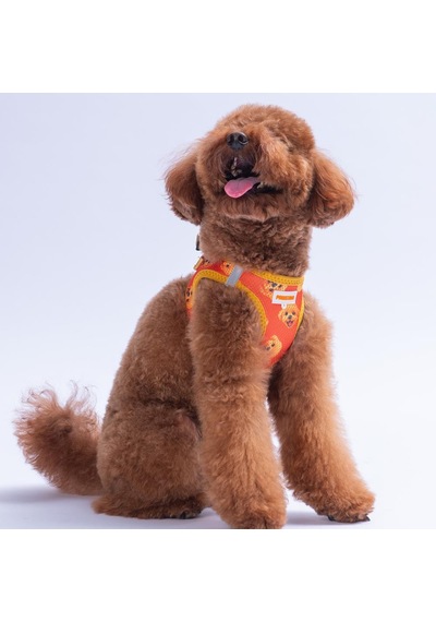 Poodle Air-mesh Göğüs Tasması Kedi Köpek Göğüs Tasması Turuncu