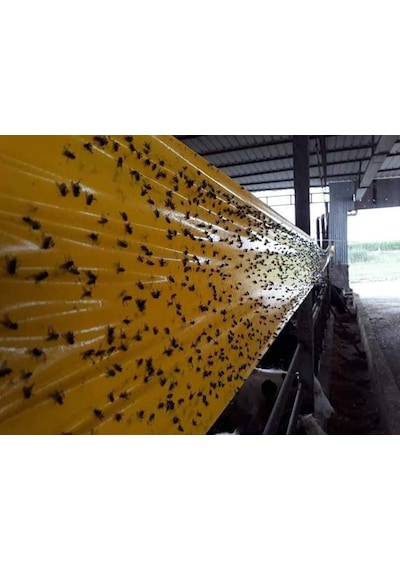 Karasinek Tuzagı Sinbant Ahırlar Çiftlikler Vs Için 15Cmx5O Metre