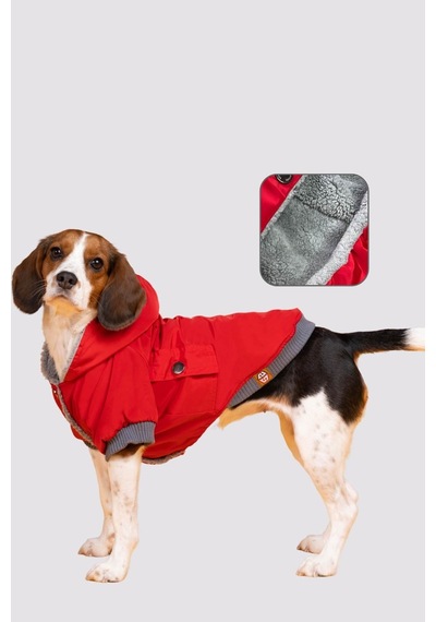 Köpek Mont - Red Design Su Geçirmez Köpek Yağmurluğu, Küçük Irk Köpek Kıyafeti