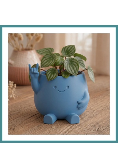 Trendexa 3d Baskı Smiley Face Planter - Gülümseyen Karakterli Saksı-mavi Mac Standart