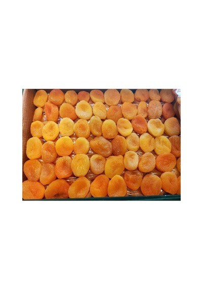 Sarı Kayısı 1000 Gr Doğal Orta Boy Malatya Kaysısı Diğer